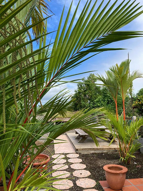 Villa La Roserie Ducos Kültér fotó